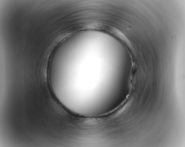 X0000088460938200706051322