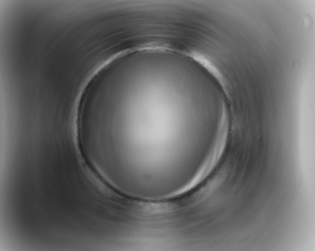 X0000088460941200706051322