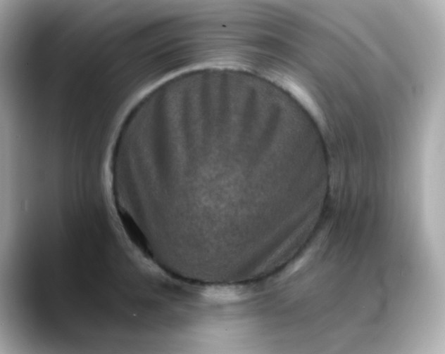 X0000088460944200706051322