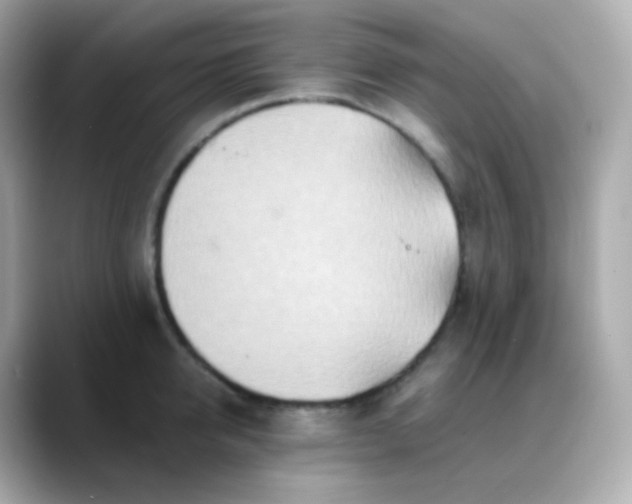 X0000088460950200706051322