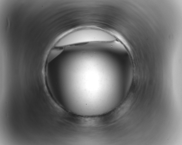 X0000088460951200706051322