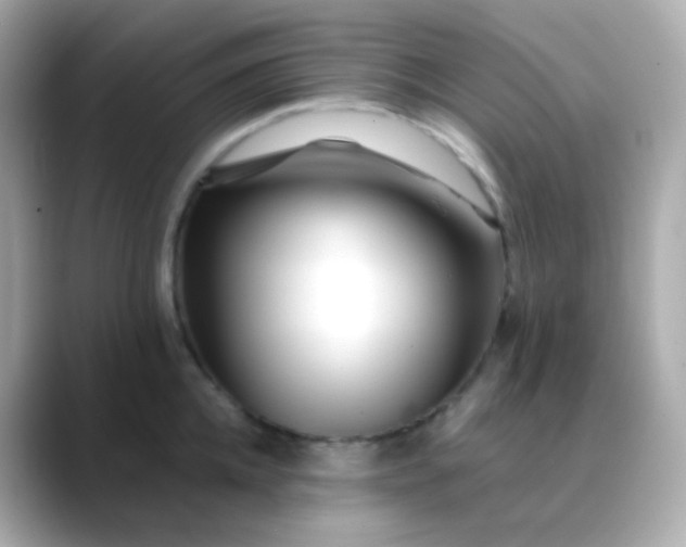 X0000088460952200706051322