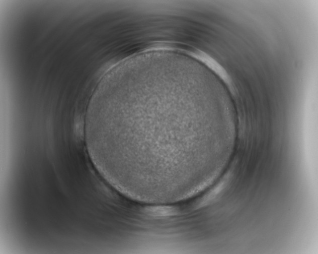 X0000088460953200706051322