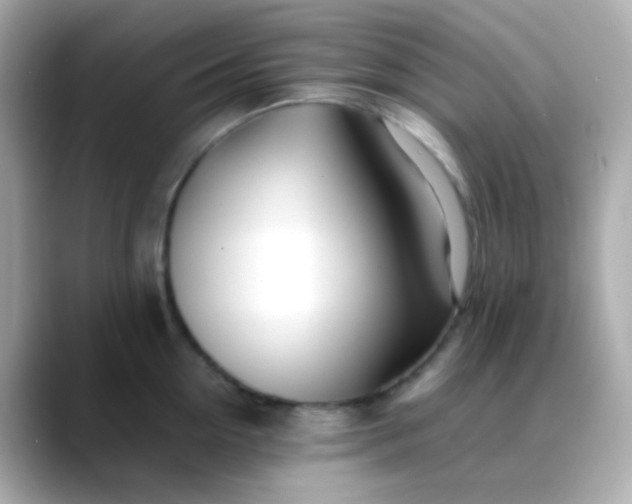 X0000088460954200706051322