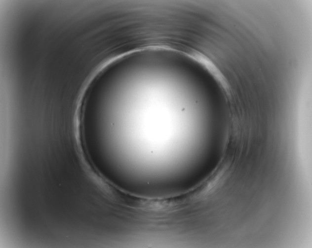 X0000088460955200706051322