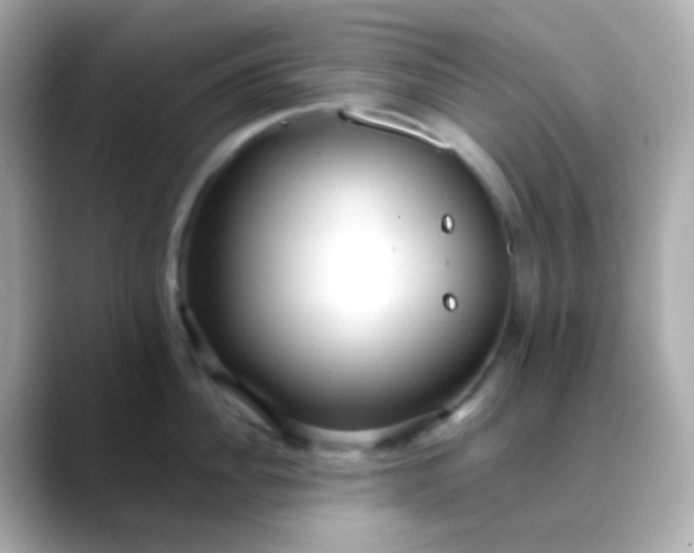 X0000088460956200706051322