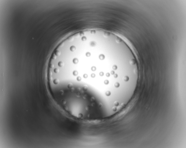 X0000088460957200706051322