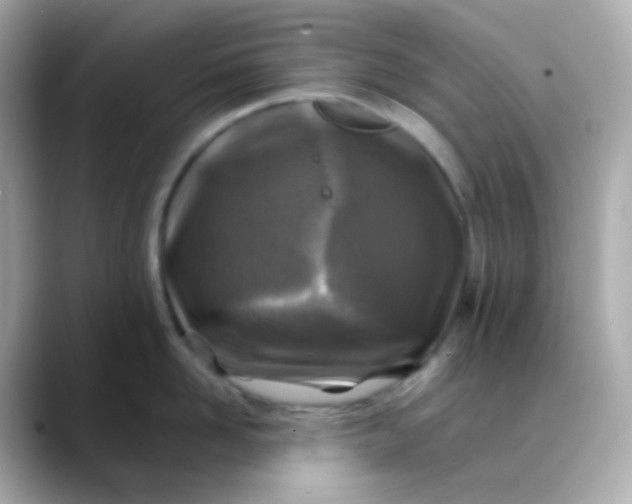 X0000088460958200706051322