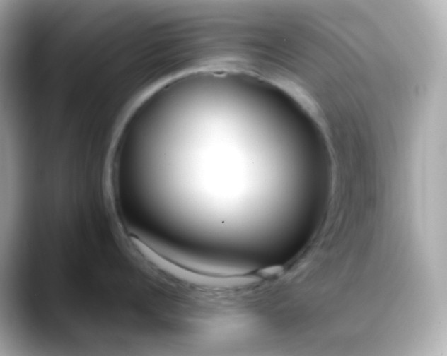 X0000088460960200706051322