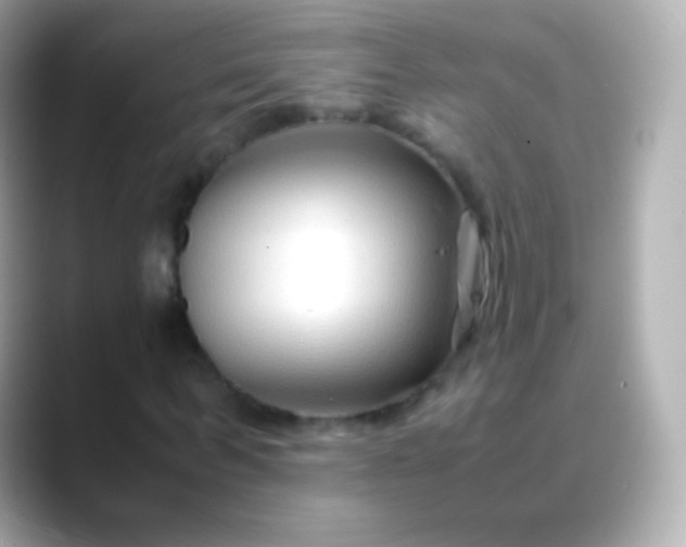 X0000088460963200706051321