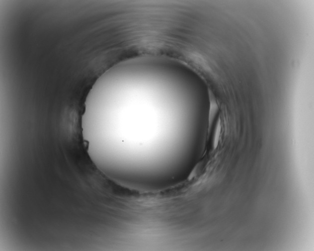 X0000088460964200706051321