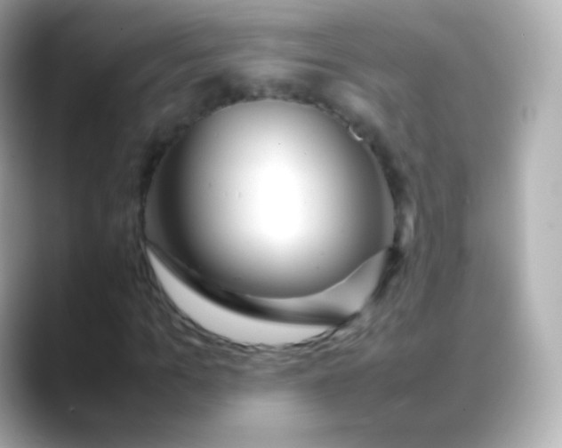 X0000088460965200706051321