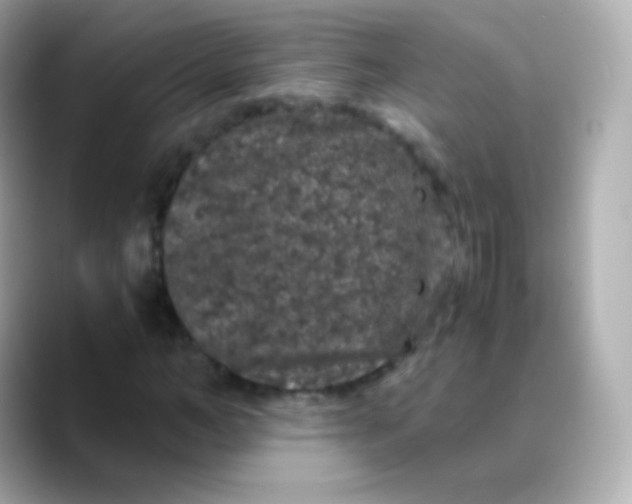 X0000088460966200706051321