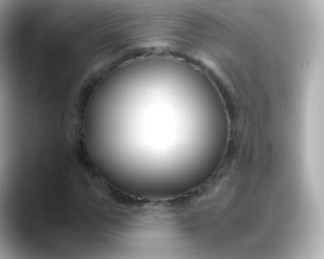 X0000088460967200706051321