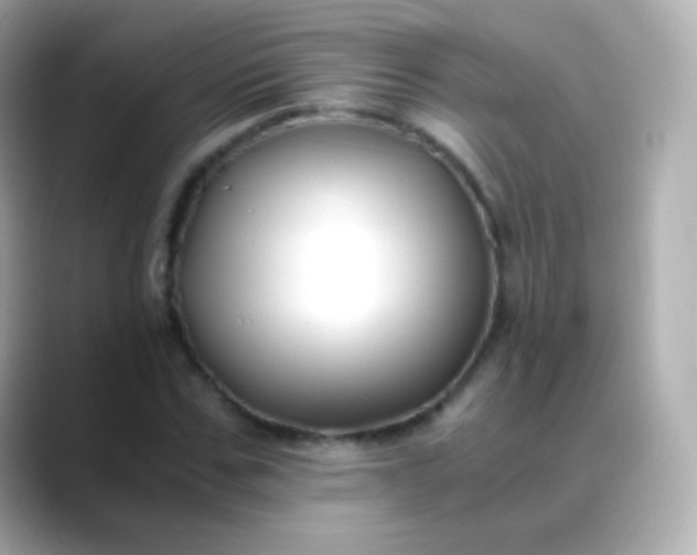 X0000088460971200706051321