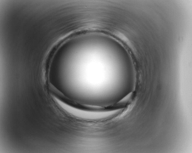 X0000088460973200706051321