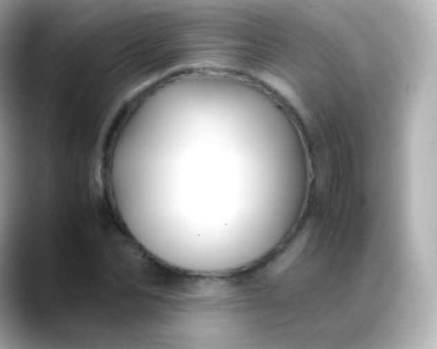 X0000088460974200706051321