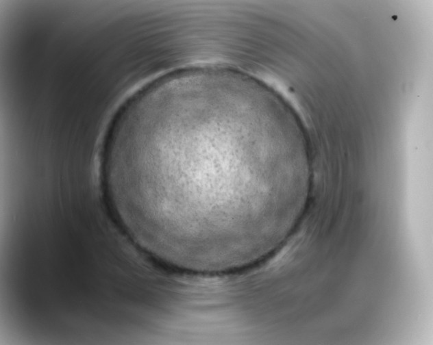 X0000088460975200706051321