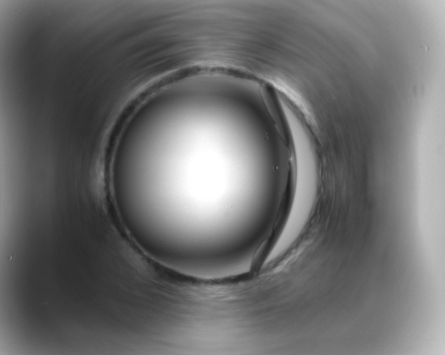 X0000088460976200706051321