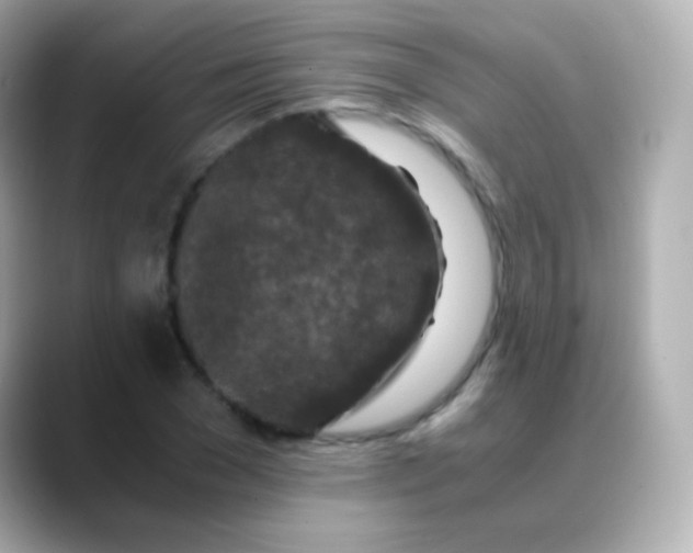 X0000088460977200706051321