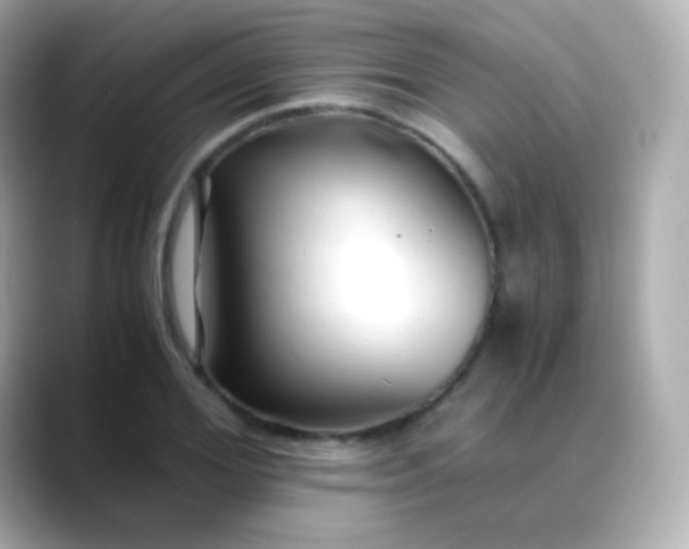 X0000088460980200706051321