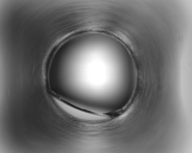 X0000088460981200706051321