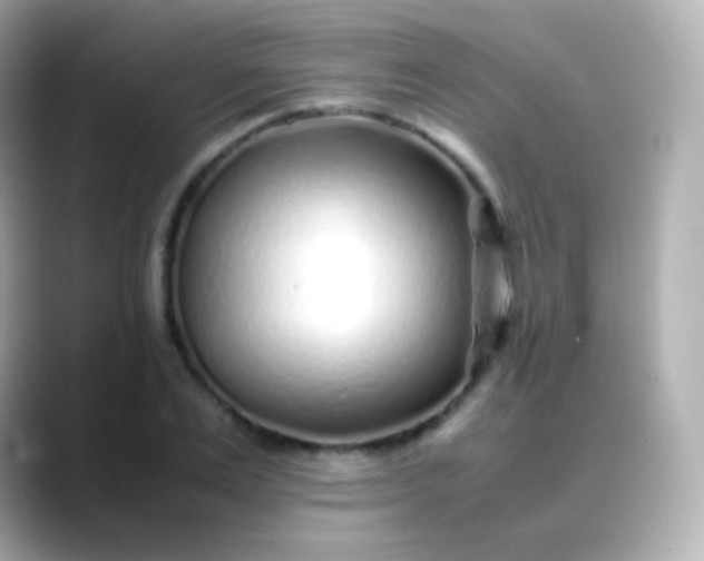 X0000088460983200706051321