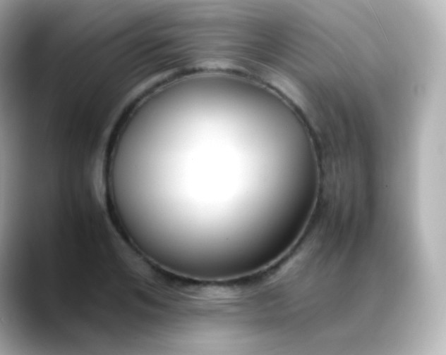 X0000088460984200706051321