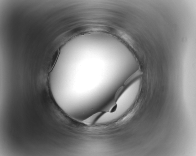 X0000088460985200706051321