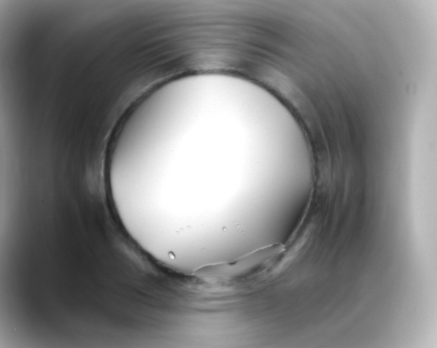 X0000088460986200706051321