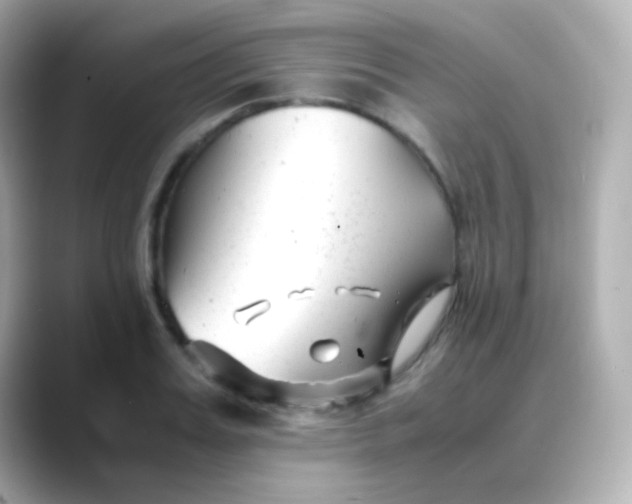 X0000088460987200706051321