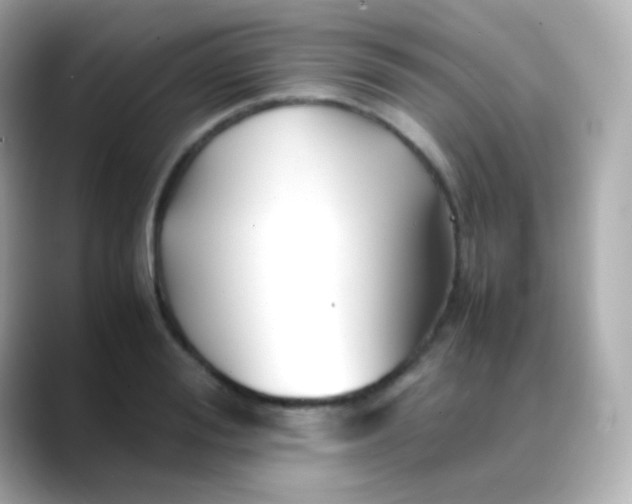 X0000088460988200706051321