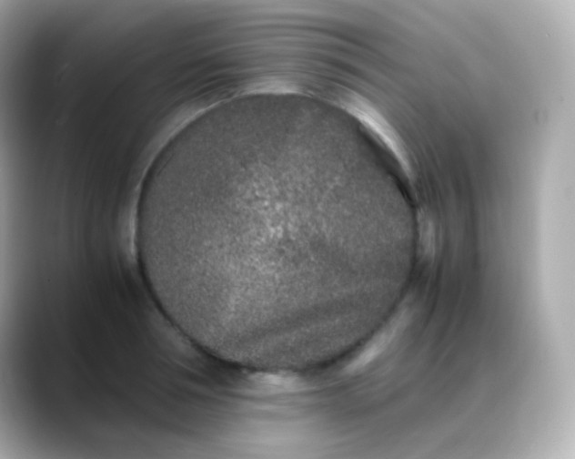 X0000088460994200706051321