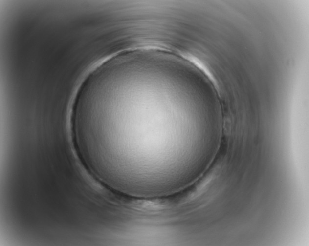 X0000088460995200706051321