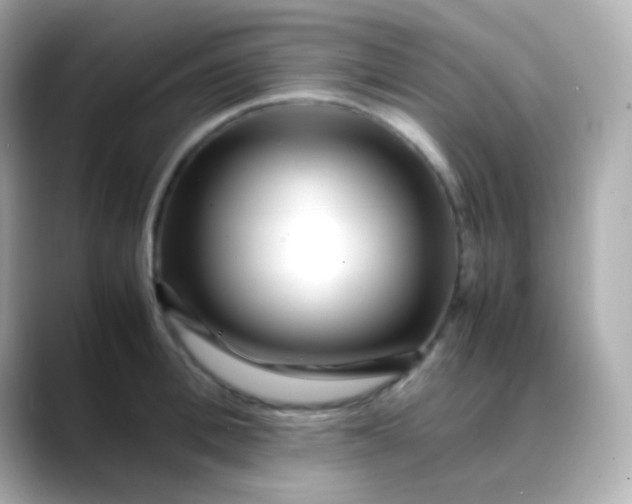 X0000088460996200706051321