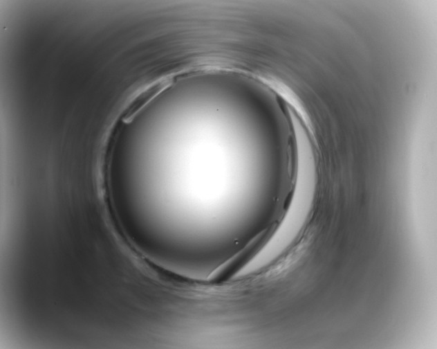 X0000088460997200706051321