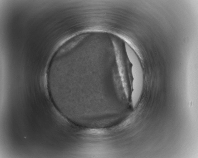 X0000088460998200706051321