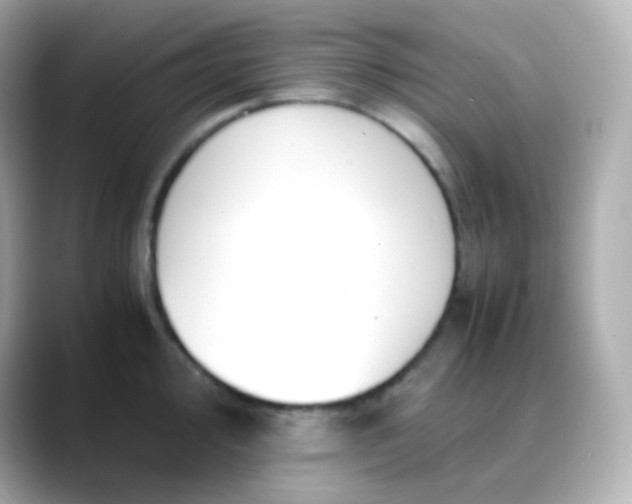 X0000088461000200706051321