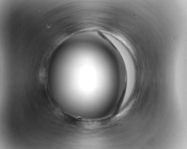 X0000088461001200706051321