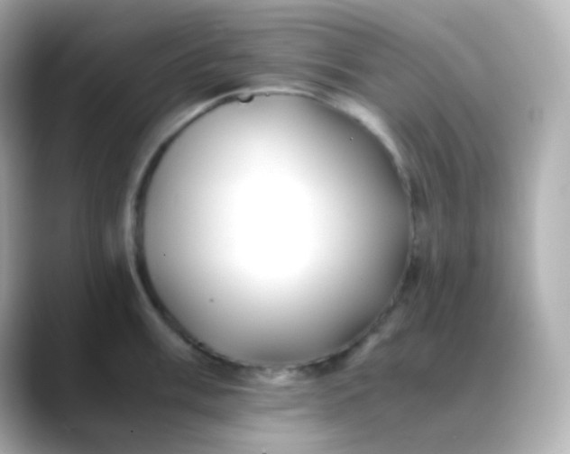 X0000088461003200706051321