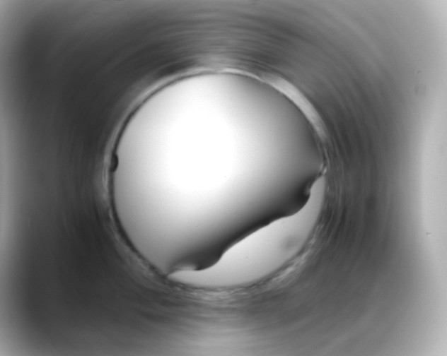 X0000088461004200706051321