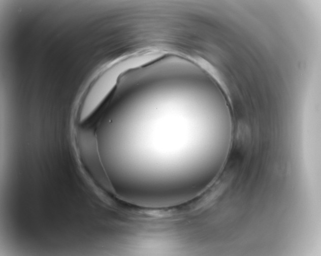 X0000088461005200706051321