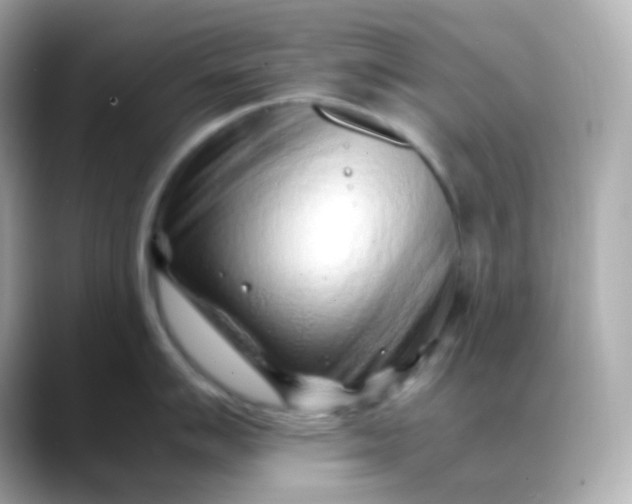 X0000088461007200706051321