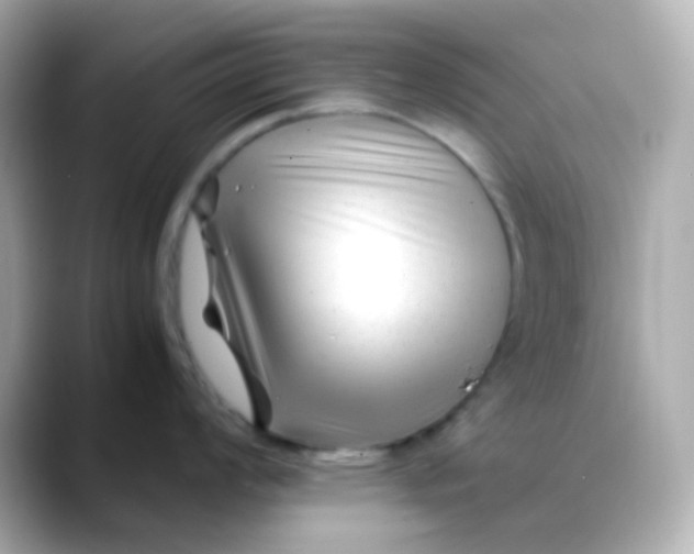 X0000088461008200706051321