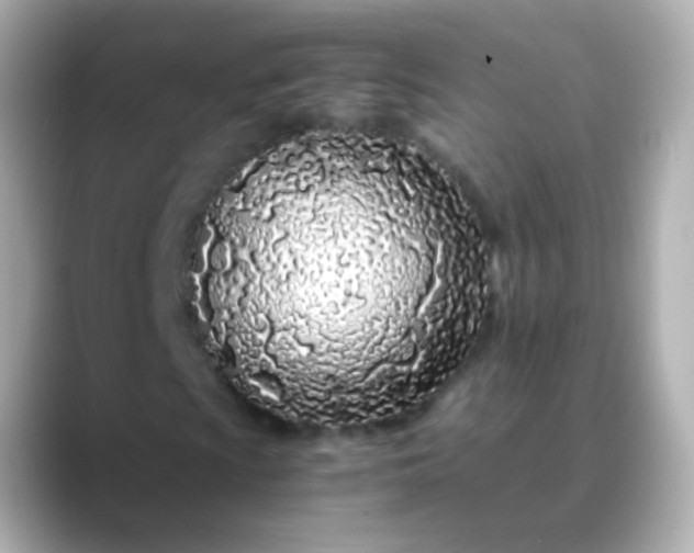 X0000088461009200706051320