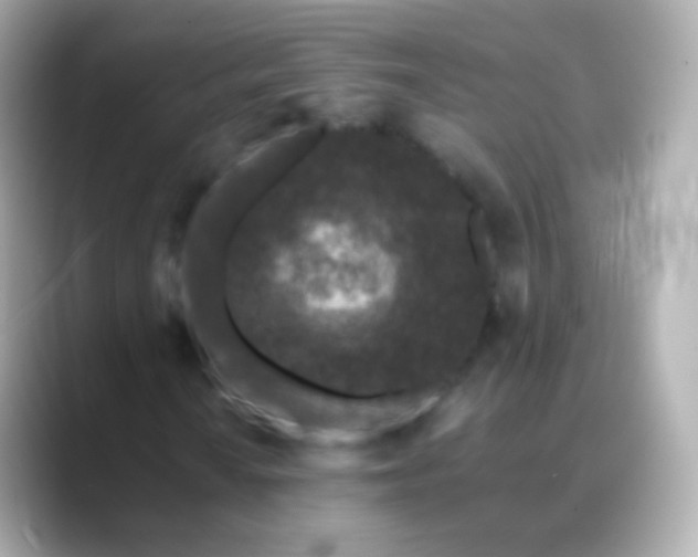 X0000088461010200706051320