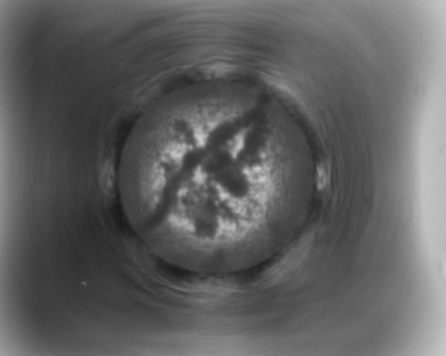 X0000088461011200706051320