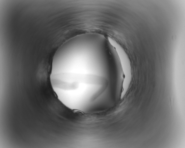 X0000088461012200706051320