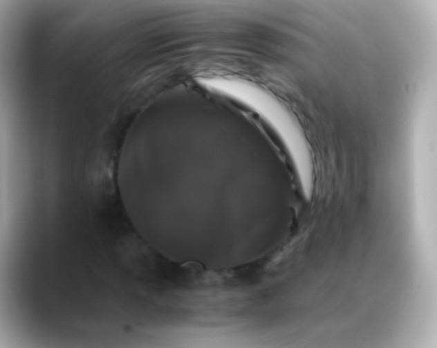 X0000088461013200706051320