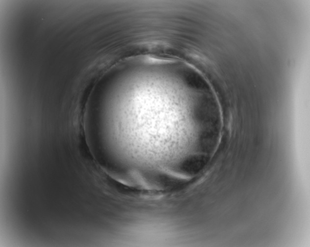 X0000088461014200706051320